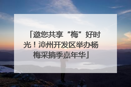 邀您共享“梅”好时光！漳州开发区举办杨梅采摘季嘉年华